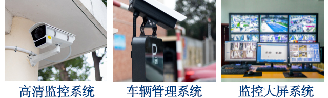麻豆专区免费观看解決方案