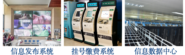 麻豆专区免费观看解決方案